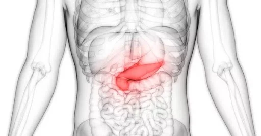 pancreatite pode ser detectada pelo Ultrassom de abdômen total